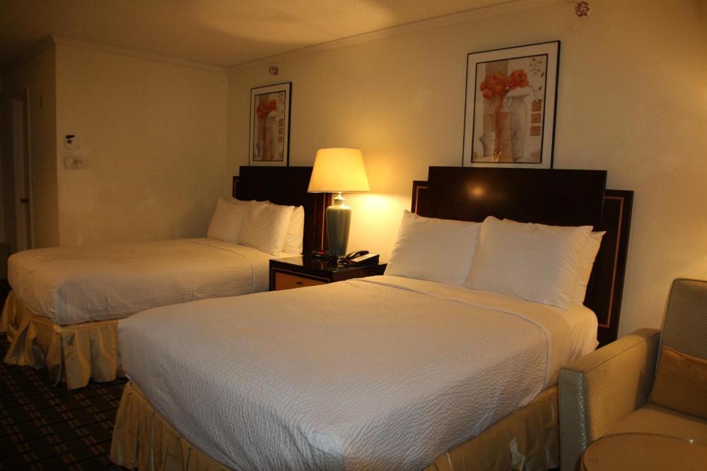 Standard Double Room with Two Double Beds interior